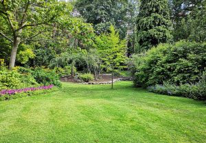 Optimiser l'expérience du jardin à Carentan