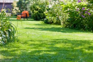 travaux jardin et paysage Carentan